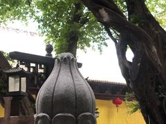 -大佛寺高级素食自助餐厅