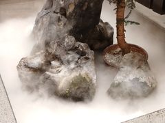 -宝园酒家(美林M·LIVE天地东座店)