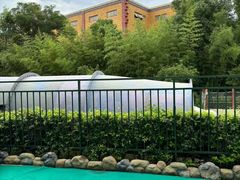 -上海玛雅海滩水公园