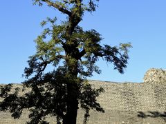 -北京明城墙遗址公园