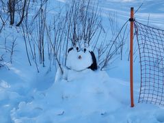 -中旅松花湖滑雪场