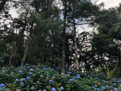 -寂照庵