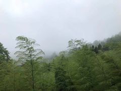 -莫干山风景区