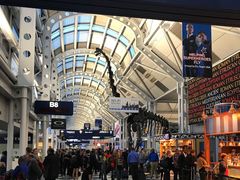 -奥黑尔国际机场