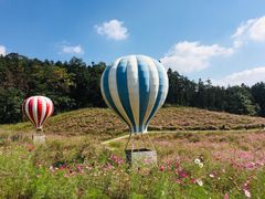 -大塘金香草谷