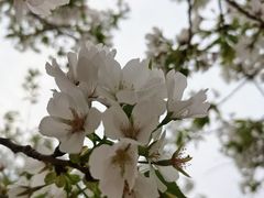 -尚贤河湿地