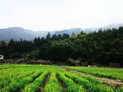 -云水谣景区