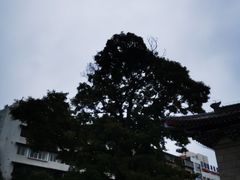 -抗战胜利纪念堂博物馆