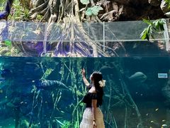 -南昌融创海世界