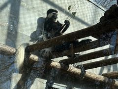 -合肥野生动物园