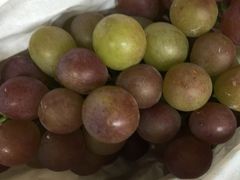 -马陆小张葡萄园农家乐