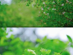 -汉中石门栈道风景区