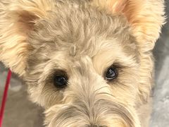 -回味南塘老王虾尾(总店)