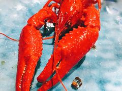 -鱼库·不仅是一家烤鱼店(车公庙店)