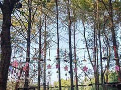 -海底捞火锅(方圆荟店)