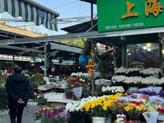 -曲阳花鸟市场(曲阳路店)