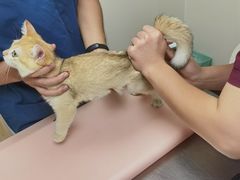 -爱诺耐芙动物医院(万博店)