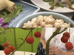 -亚龙湾海底世界