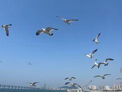 -星海广场