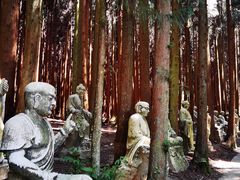 -武陵山森林公园
