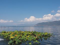 -大理洱海
