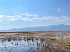 -野鸭湖国家湿地公园