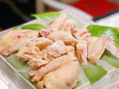 -汤城·料青山