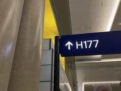 -上海浦东国际机场-T2航站楼