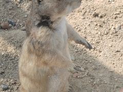 -祥源·阜阳生态乐园