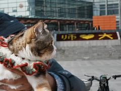 -艾吉宠物医院·疑难杂症转诊中心·猫友好(碧江路院)