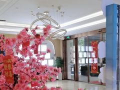 -合肥美奥口腔·种植矫正中心(政务院)