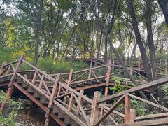 -大岭沟猕猴桃谷风景区