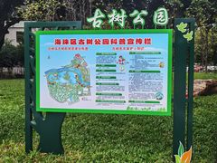 -晓港公园