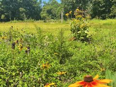 -重庆雨台山风景区