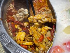 -销魂美蛙鱼头火锅(上海首店)