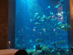 -迪拜帆船酒店海底餐厅