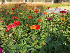 -永定河休闲森林公园