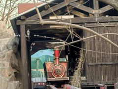 -朝阳公园游乐园