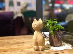 -No Cat 手碟
