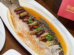 -香港狮子山下·明星粤菜餐厅(北苑店)