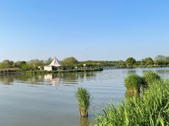 -西青郊野公园