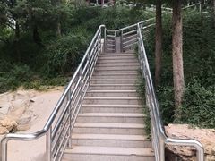 -黄村公园