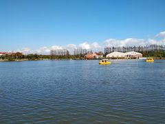 -上海长兴岛郊野公园