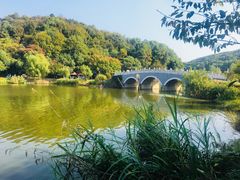 -团城山公园