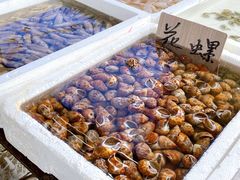 -外伶仃岛海鲜市场