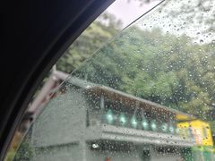 -广州市帽峰山景区