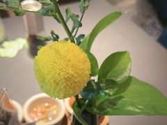 -拉蒂娜·巴西牛排馆 Latina·Brazilian Steakhouse(王府井喜悦店)