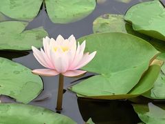 -昆山城市生态森林公园