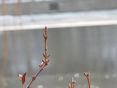 -青岛大珠山景区