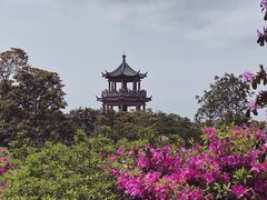 -梧桐山风景名胜区